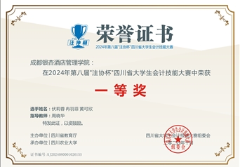 会计技能大赛一等奖